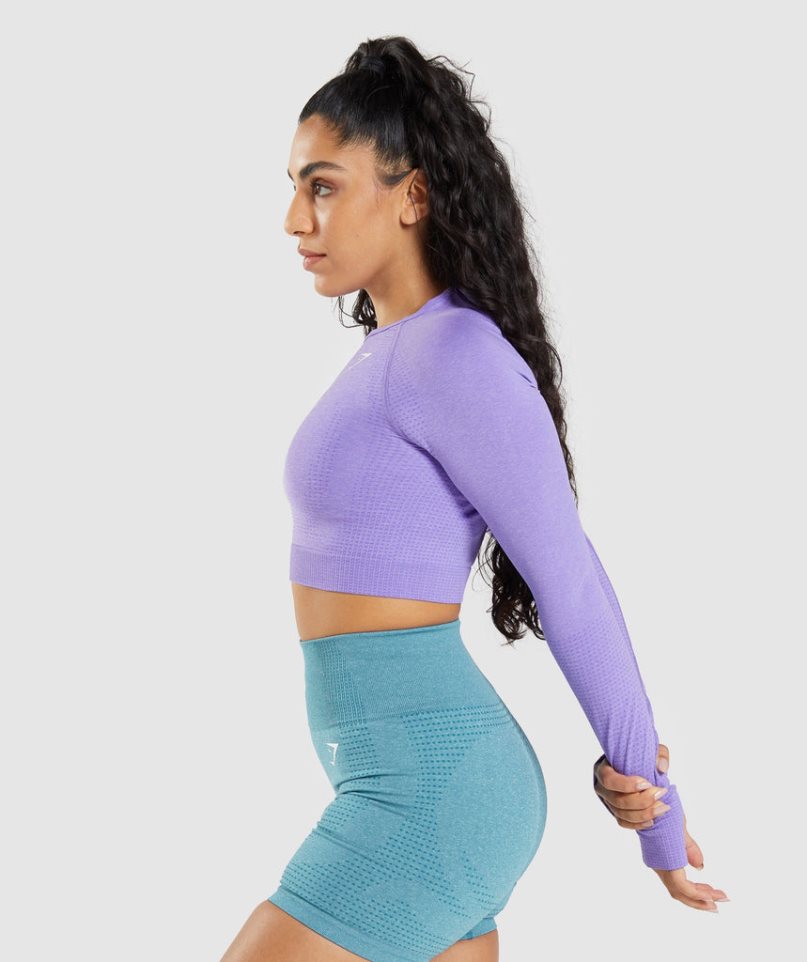 Przycięte Topy Gymshark Vital Seamless 2.0 Long Sleeve Damskie Lawenda | PL 296RLH